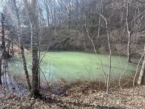 0 Little Creek Rd, Pleasant Shade, TN 37145