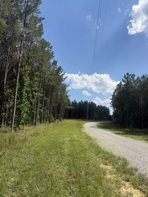 251 Fox Ridge Rd, Hohenwald, TN 38462
