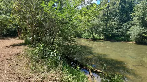 View/Area - 219 Thomas Farms Ln, Morrison, TN 37357 photo 6 of 10