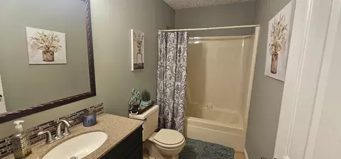 Bath - 219 Thomas Farms Ln, Morrison, TN 37357 photo 7 of 8