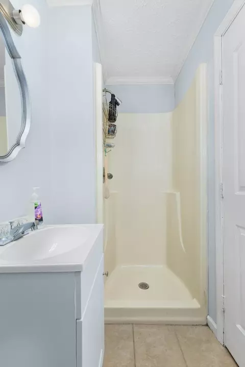 Bath - 219 Thomas Farms Ln, Morrison, TN 37357 photo 4 of 8