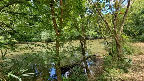 View/Area - 219 Thomas Farms Ln, Morrison, TN 37357 photo 10 of 10