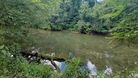 View/Area - 219 Thomas Farms Ln, Morrison, TN 37357 photo 7 of 10