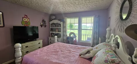 Bedroom - 219 Thomas Farms Ln, Morrison, TN 37357 photo 9 of 10
