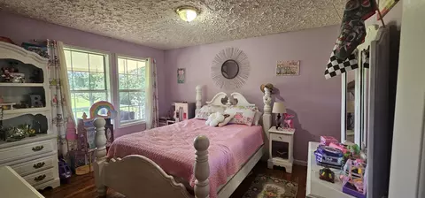 Other - 219 Thomas Farms Ln, Morrison, TN 37357 photo 20 of 20