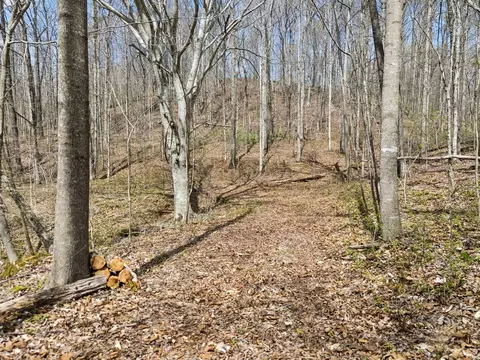 0 Old Highway 31e, Westmoreland, TN 37186