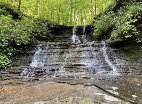 Other - 0 Backbone Rd, Sparta, TN 38583 photo 6 of 8