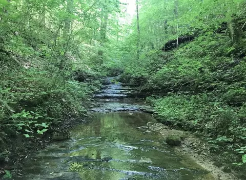 Other - 0 Backbone Rd, Sparta, TN 38583 photo 7 of 8