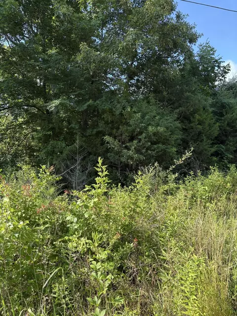 6 Saffles Ln, Madisonville, TN 37354