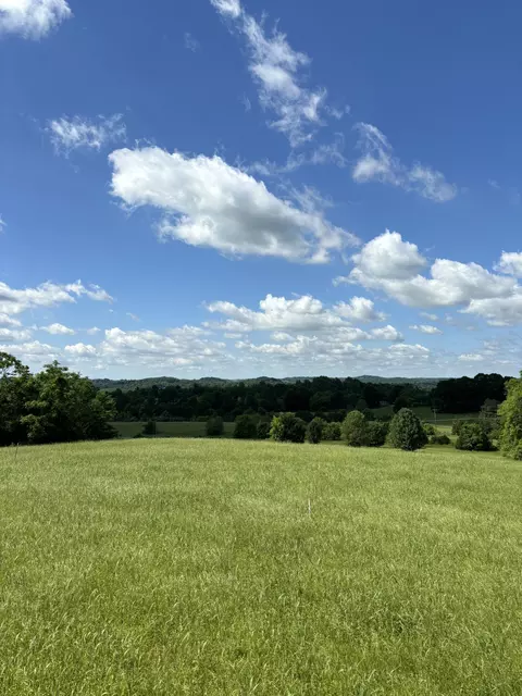 1065 Bugscuffle Rd, Wartrace, TN 37183