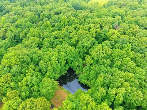 17627 Campbellsville Rd, Lynnville, TN 38472
