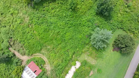 440 Big Spring Hollow Rd, Pulaski, TN 38478