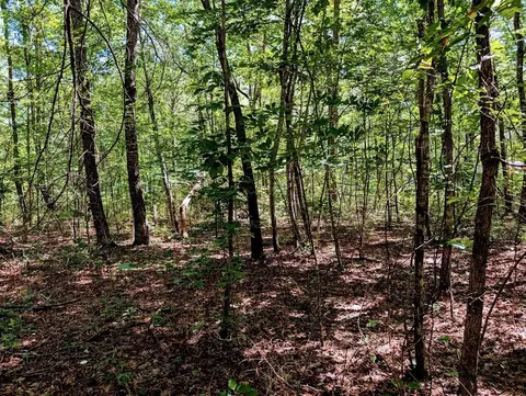 140 Sunset Bluff Way, Monteagle, TN 37356 photo 13