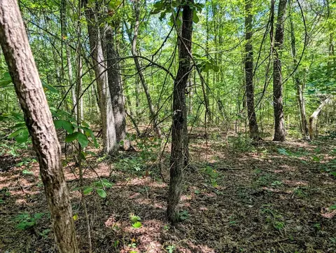 140 Sunset Bluff Way, Monteagle, TN 37356 photo 15
