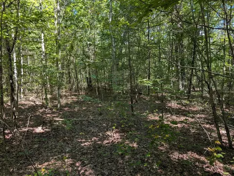 140 Sunset Bluff Way, Monteagle, TN 37356 photo 21
