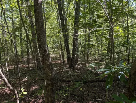 140 Sunset Bluff Way, Monteagle, TN 37356 photo 19