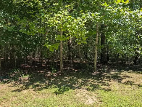 140 Sunset Bluff Way, Monteagle, TN 37356 photo 8