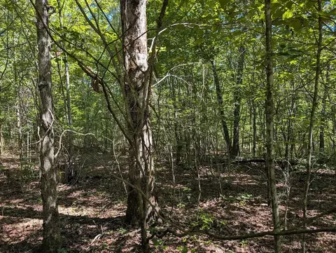 140 Sunset Bluff Way, Monteagle, TN 37356 photo 26