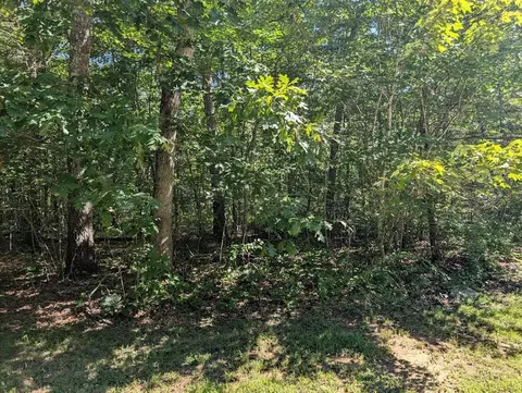 140 Sunset Bluff Way, Monteagle, TN 37356 photo 6