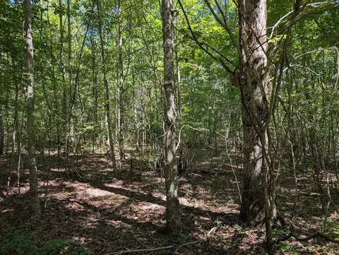 140 Sunset Bluff Way, Monteagle, TN 37356 photo 27