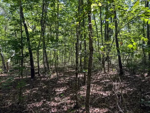 140 Sunset Bluff Way, Monteagle, TN 37356 photo 12