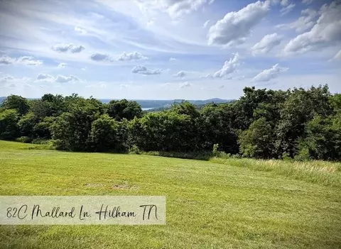 82 Mallard Rd # C, Hilham, TN 38568