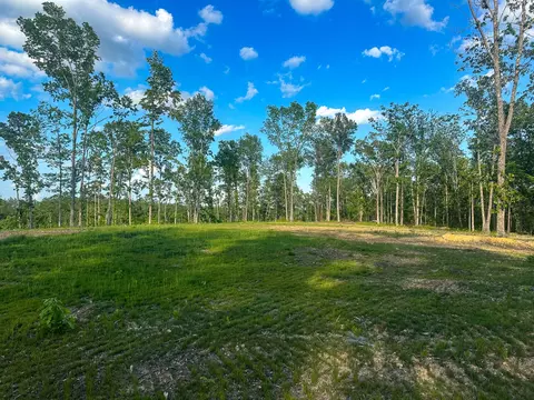 0 Firetower Rd, Centerville, TN 37033 photo 9
