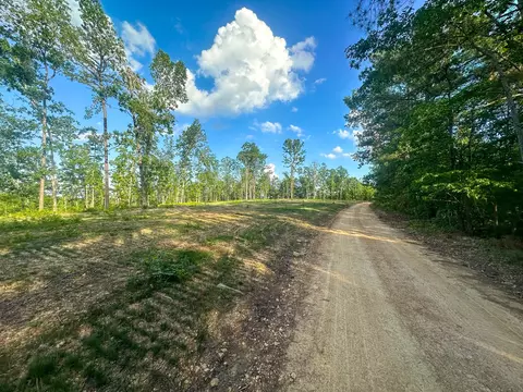 0 Firetower Rd, Centerville, TN 37033 photo 7