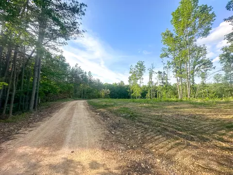 0 Firetower Rd, Centerville, TN 37033 photo 6