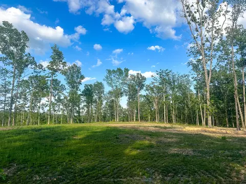 0 Firetower Rd, Centerville, TN 37033 photo 10