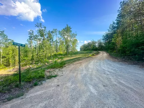 0 Firetower Rd, Centerville, TN 37033 photo 5