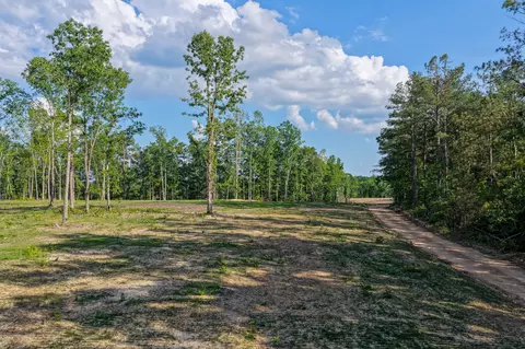 0 Firetower Rd, Centerville, TN 37033 photo 11