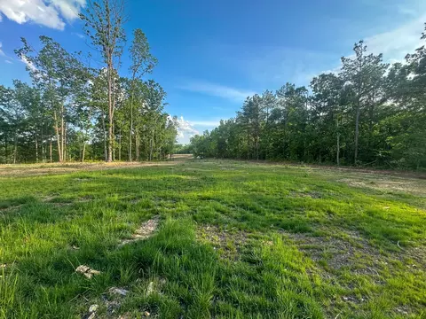 0 Firetower Rd, Centerville, TN 37033 photo 8