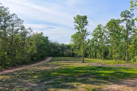0 Firetower Rd, Centerville, TN 37033 photo 3