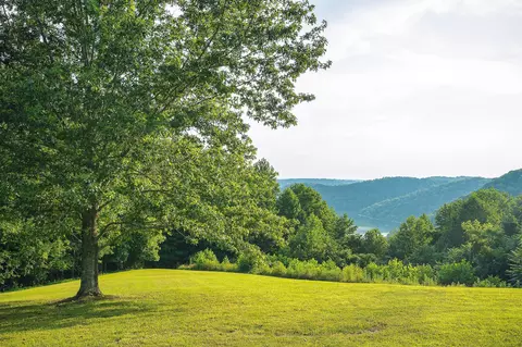 Other - 11720 Fox Hill Rd, Baxter, TN 38544 photo 7 of 32