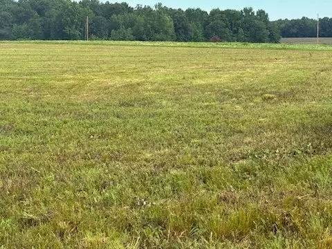 0 Rushing Rd, Ethridge, TN 38456