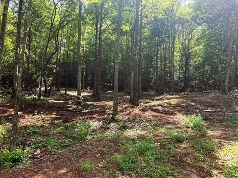 8 Pleasant Hill Rd, Ten Mile, TN 37880