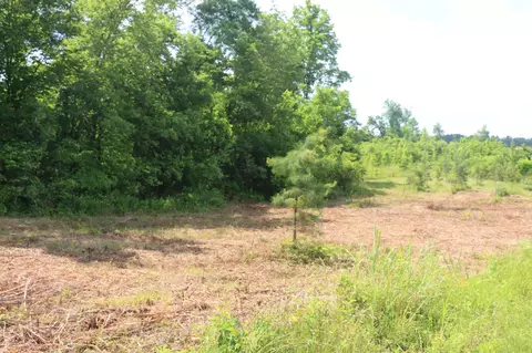 1 N Nopone Valley Rd, Decatur, TN 37322