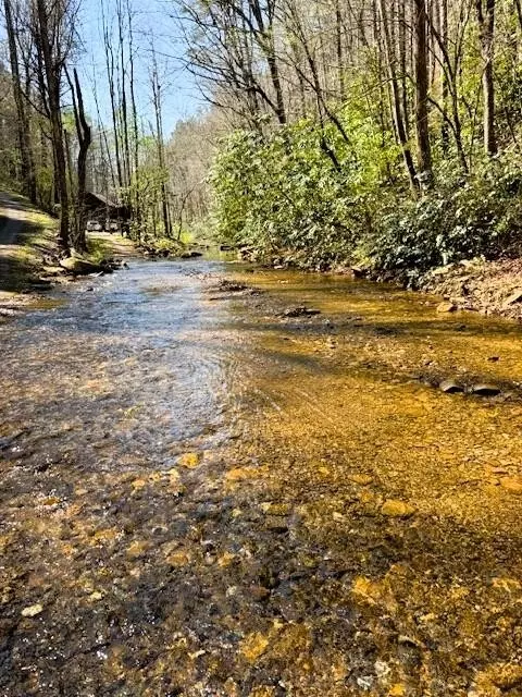768 Ellis Creek Rd, Reliance, TN 37369