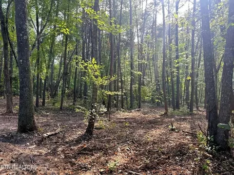 5 Pleasant Hill Rd, Ten Mile, TN 37880