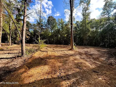 55 Pleasant Hill Rd, Ten Mile, TN 37880