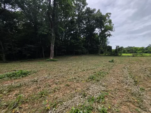 12 Shellsford Rd, Mcminnville, TN 37110