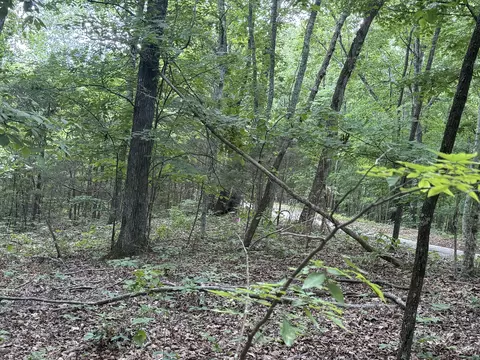 0 Jack Holt Rd, Prospect, TN 38477