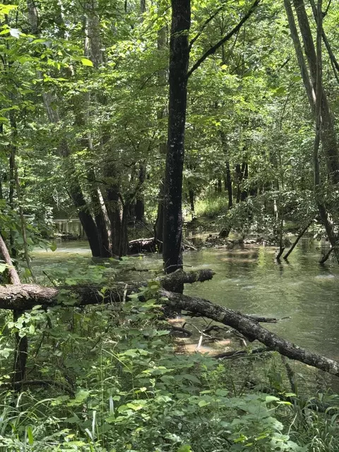 2784 Fiery Gizzard Rd, South Pittsburg, TN 37380