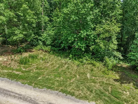 0 Anderson Rd, Pegram, TN 37143 photo 8