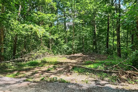 0 Anderson Rd, Pegram, TN 37143 photo 9