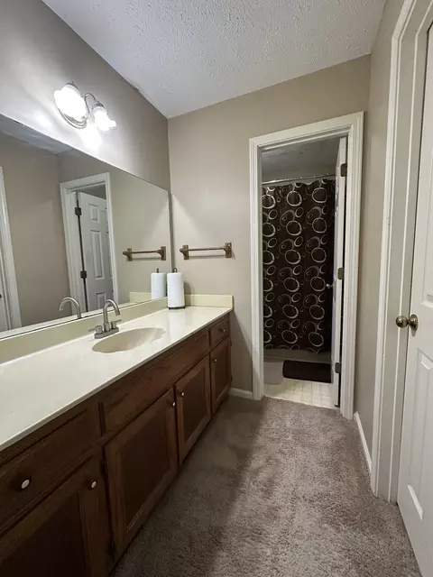 Bath - 133 Buttonwood Dr, Jackson, TN 38305 photo 2 of 2