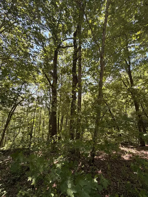 0 Woodcrest Dr, Smithville, TN 37166