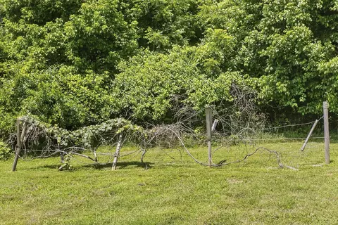 Other - 2305 Clara Mathis Rd, Spring Hill, TN 37174 photo 9 of 11