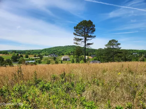 0 Oak Leaf Lot 71 Dr, Loudon, TN 37774